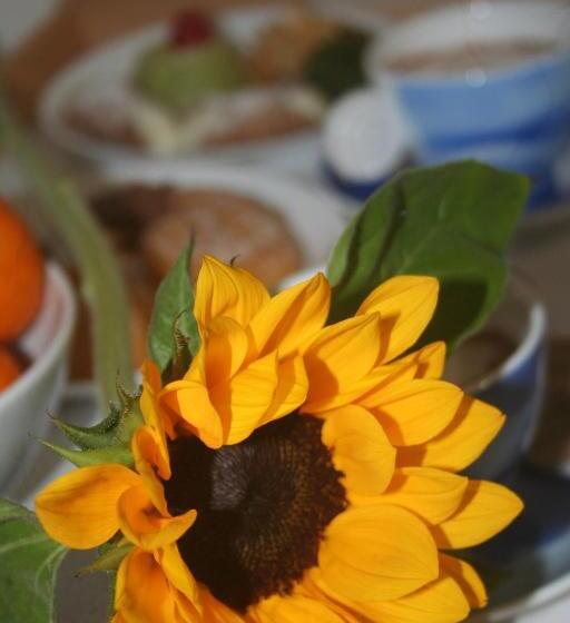 Bed and Breakfast Hello World