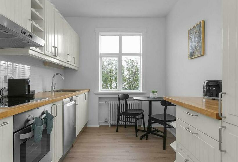 Eiriksgata Apartments By Heimaleiga