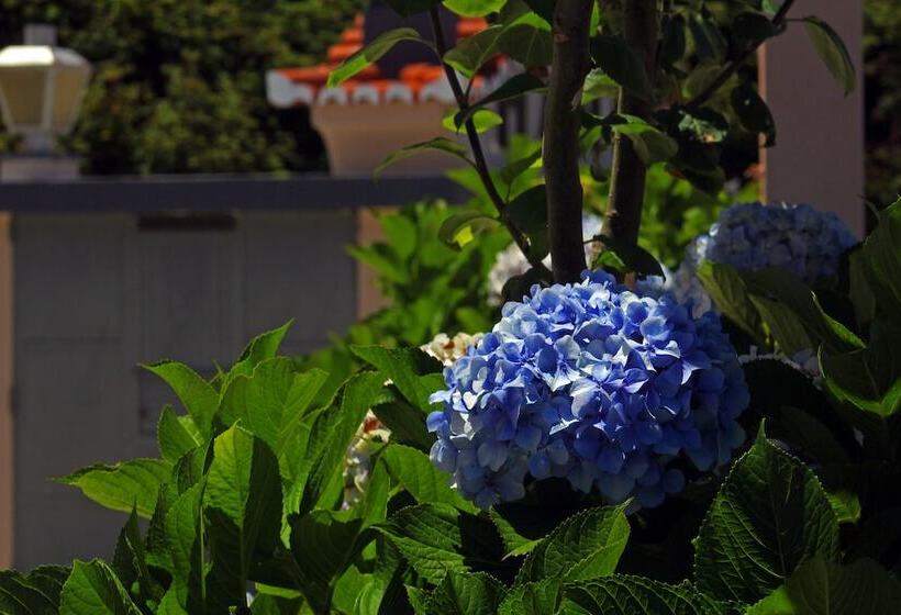 پانسیون Casa Os Manos