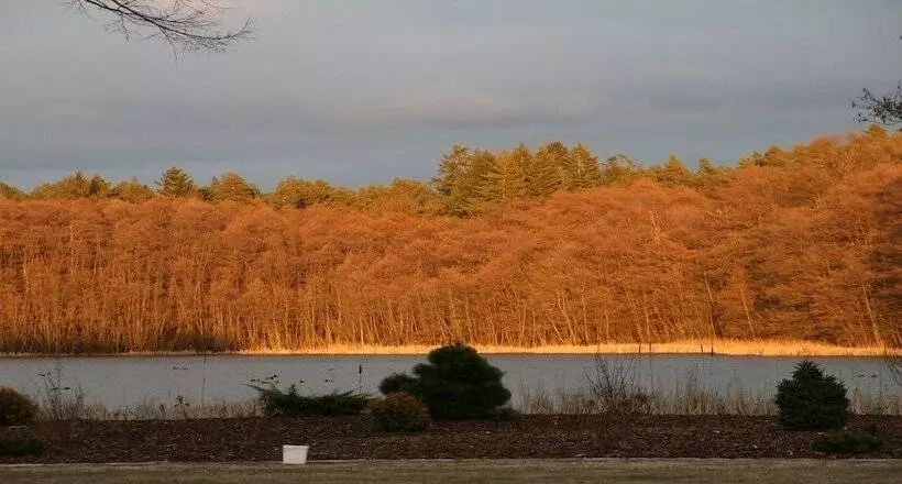 Pension & Gasthaus Kattenstieg