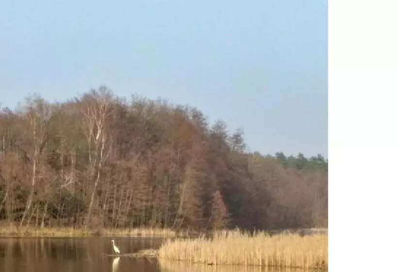 Pension & Gasthaus Kattenstieg