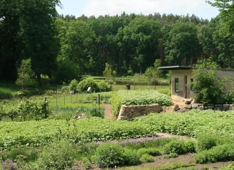 Pension & Gasthaus Kattenstieg