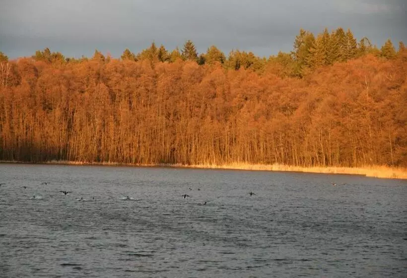 Pension & Gasthaus Kattenstieg