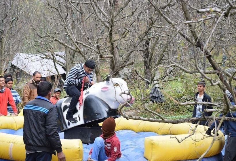 אתר נופש Manali Picnic Spot And Camps