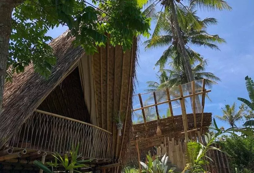 Bamboo & B   Hostel