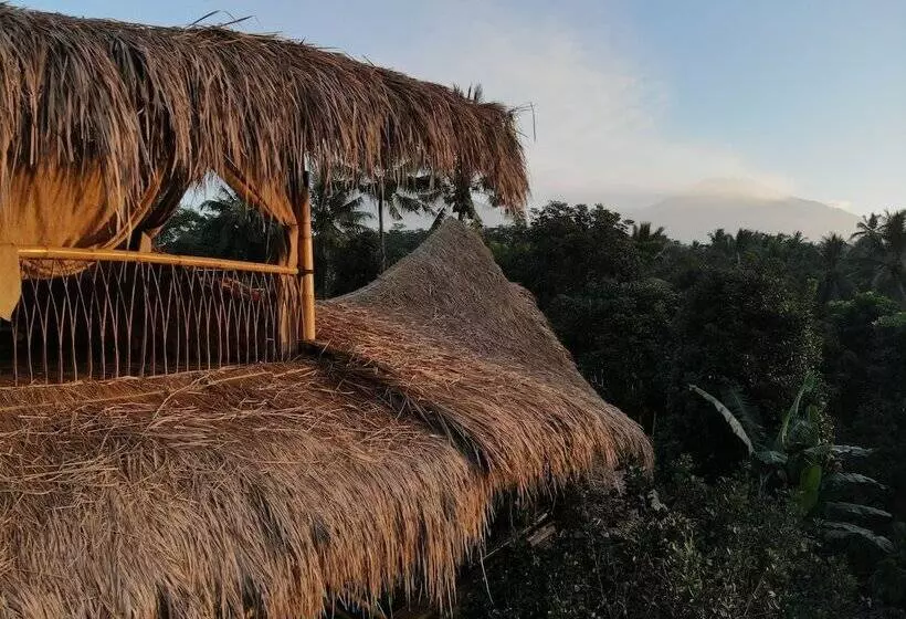 Bamboo & B   Hostel