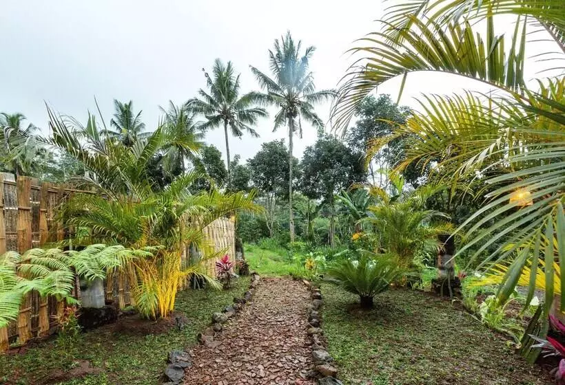 Bamboo & B   Hostel