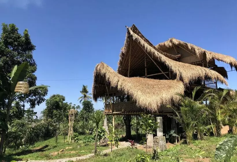Bamboo & B   Hostel
