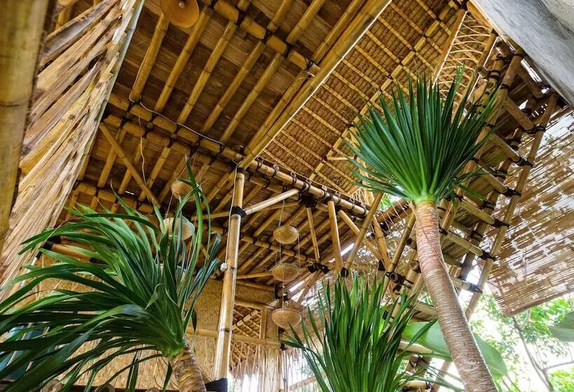 Bamboo & B   Hostel