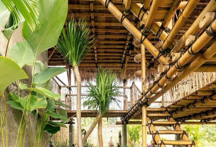 Bamboo & B   Hostel