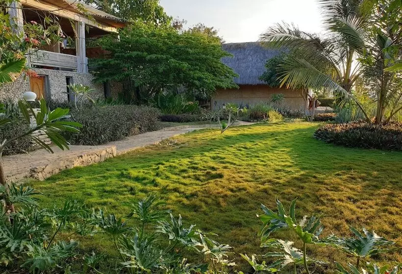 ベッドアンドブレックファースト Mario Hotel And Cafe