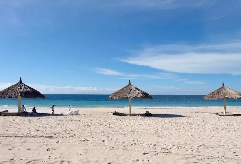 ベッドアンドブレックファースト Mario Hotel And Cafe