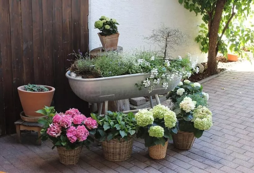 Hotelli Gasthof Und Pension Zum Löwen