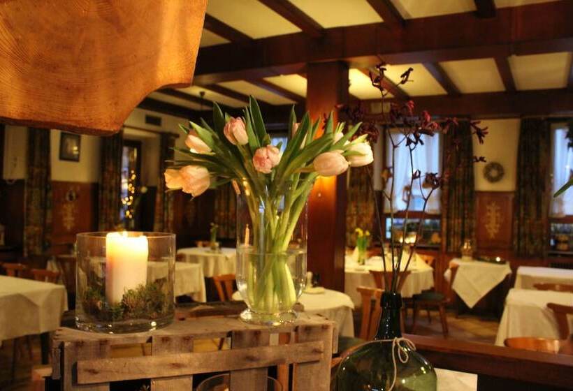 فندق Gasthof Und Pension Zum Löwen