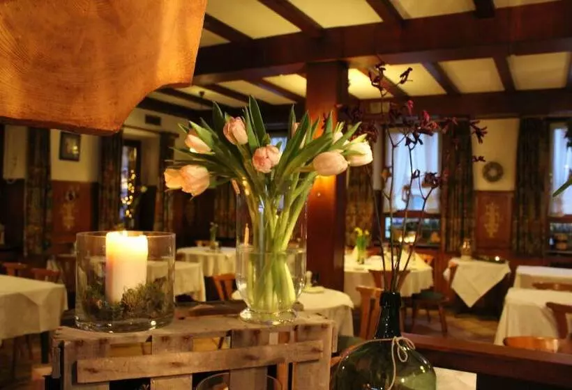 Hotelli Gasthof Und Pension Zum Löwen