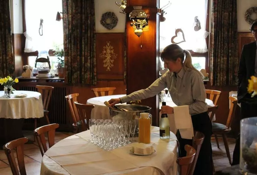 Hotelli Gasthof Und Pension Zum Löwen