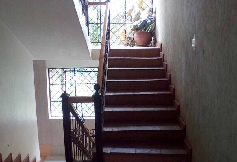 Отель Rose House