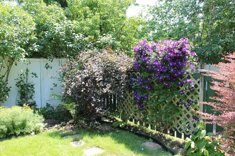 פנסיון Gîte Chez Mario