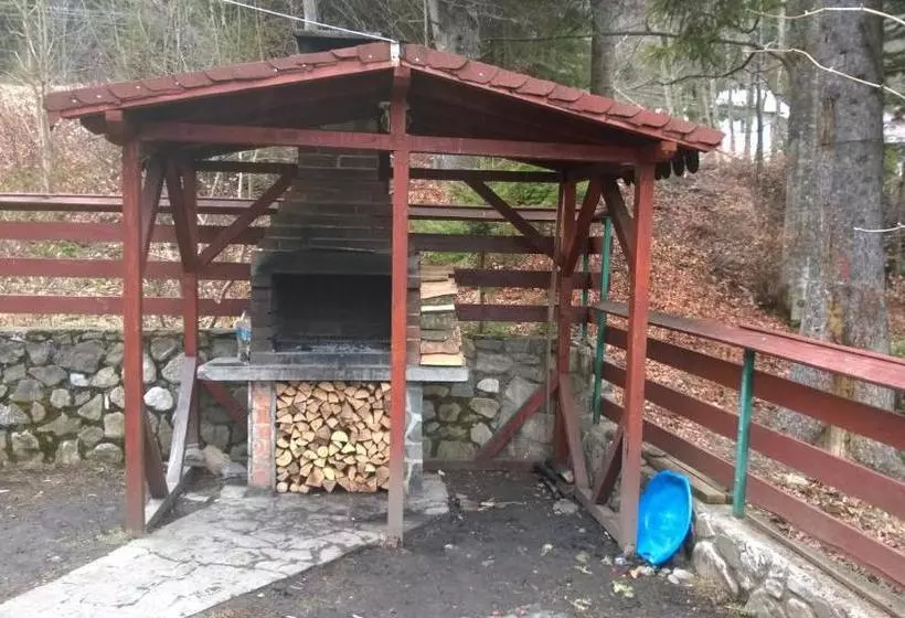 Pensiunea Codrului