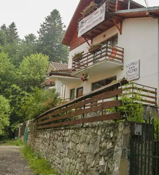 Pensiunea Codrului