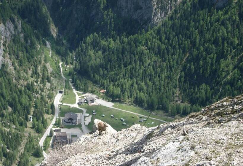 هتل Albergo Genzianella