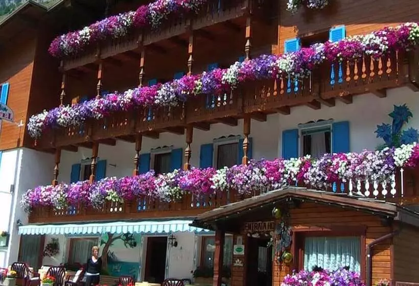 ホテル Albergo Genzianella