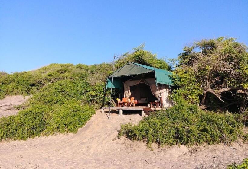 酒店 Back Of Beyond Dune Camp Yala