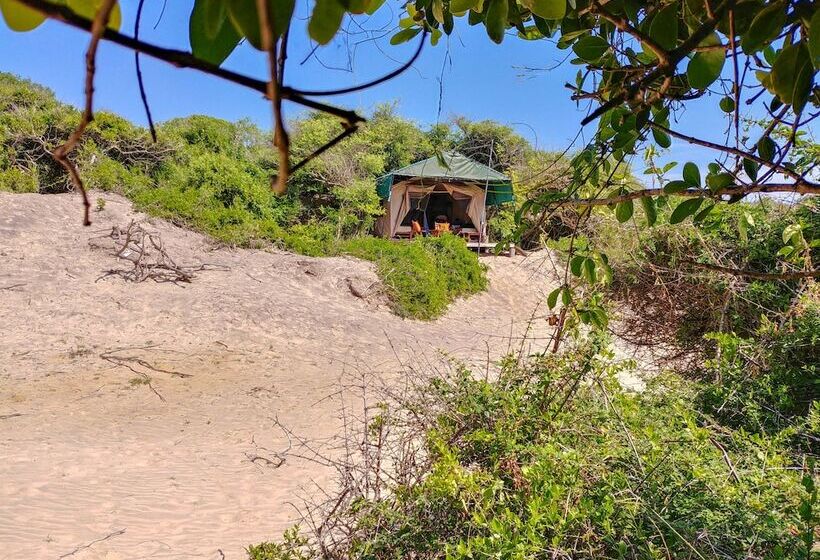 酒店 Back Of Beyond Dune Camp Yala