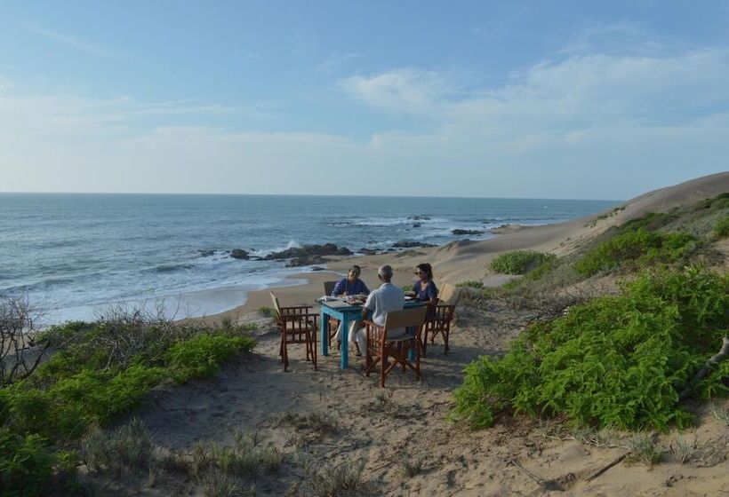酒店 Back Of Beyond Dune Camp Yala