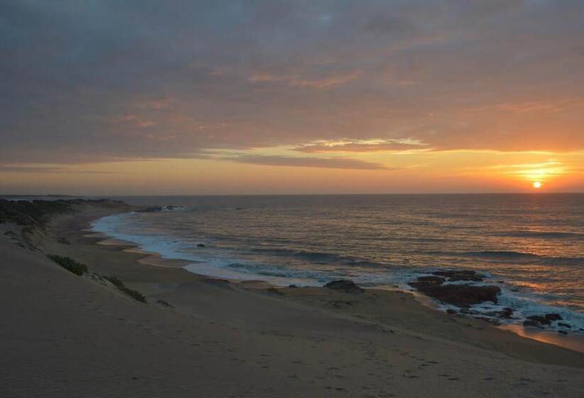 酒店 Back Of Beyond Dune Camp Yala