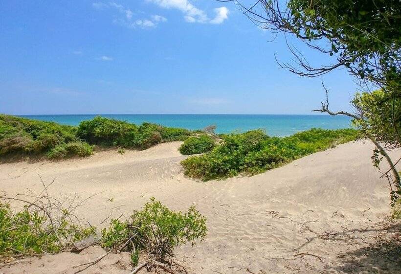 酒店 Back Of Beyond Dune Camp Yala