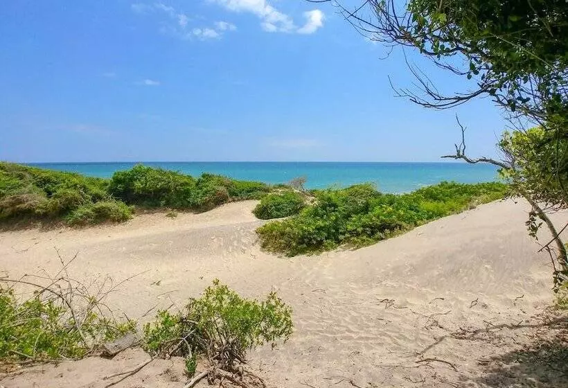 Hotelli Back Of Beyond Dune Camp Yala