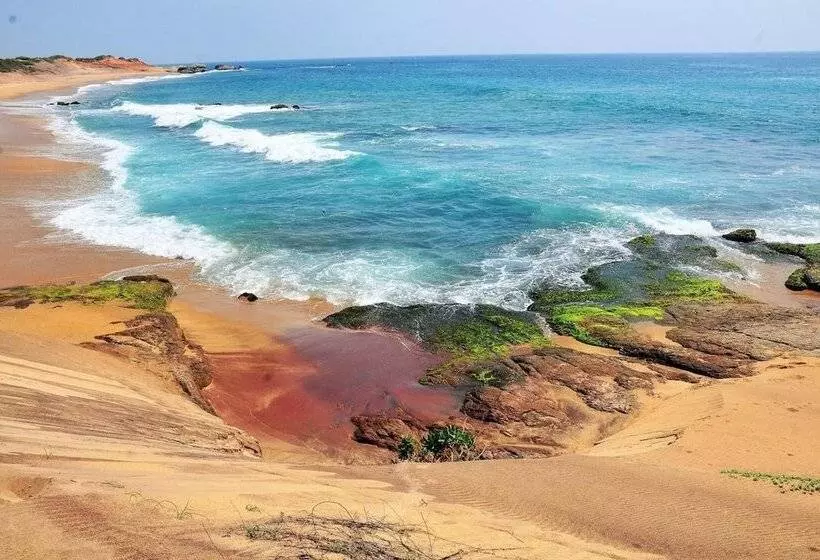 Hotelli Back Of Beyond Dune Camp Yala