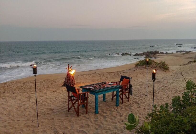 酒店 Back Of Beyond Dune Camp Yala