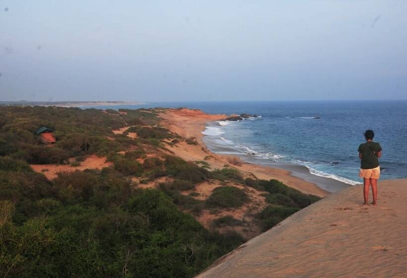 酒店 Back Of Beyond Dune Camp Yala