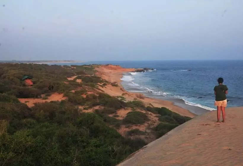 Hotelli Back Of Beyond Dune Camp Yala