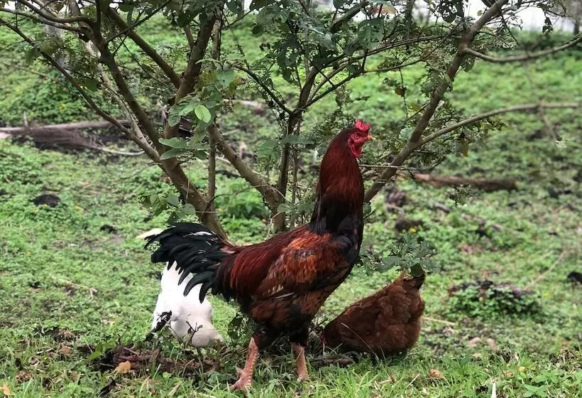 Hotelli Pousada Villa Da Glória