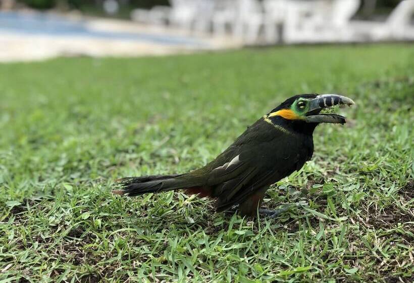 호텔 Pousada Villa Da Glória