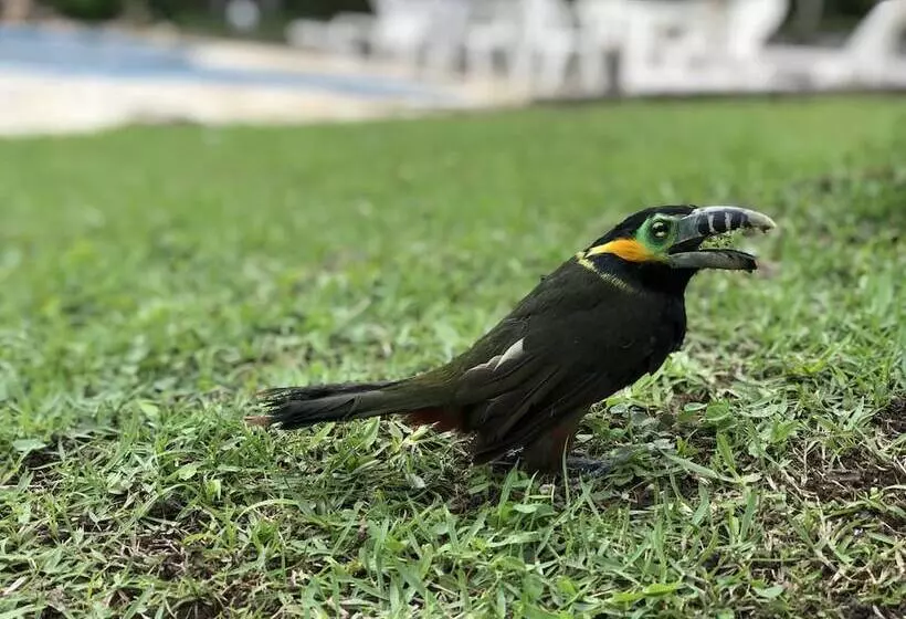 Hotelli Pousada Villa Da Glória