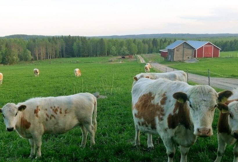 فندق ريفى Anssilan Maatila