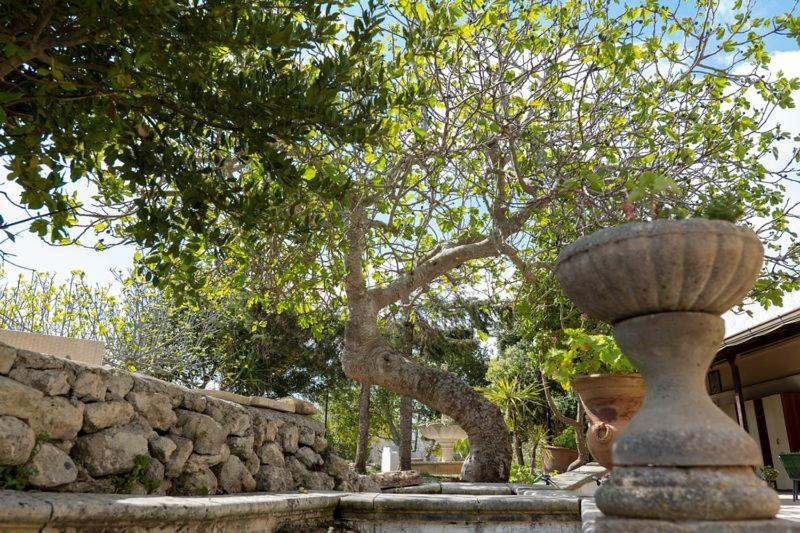 בית מלון כפרי Torre Pinta Masseria Medioevale