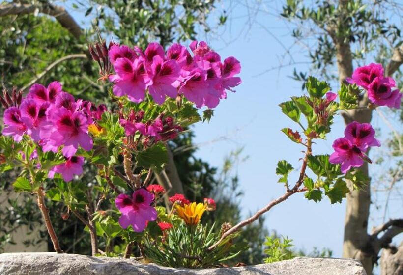 בית מלון כפרי Torre Pinta Masseria Medioevale