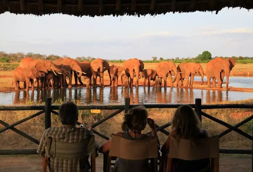 هتل Voi Wildlife Lodge