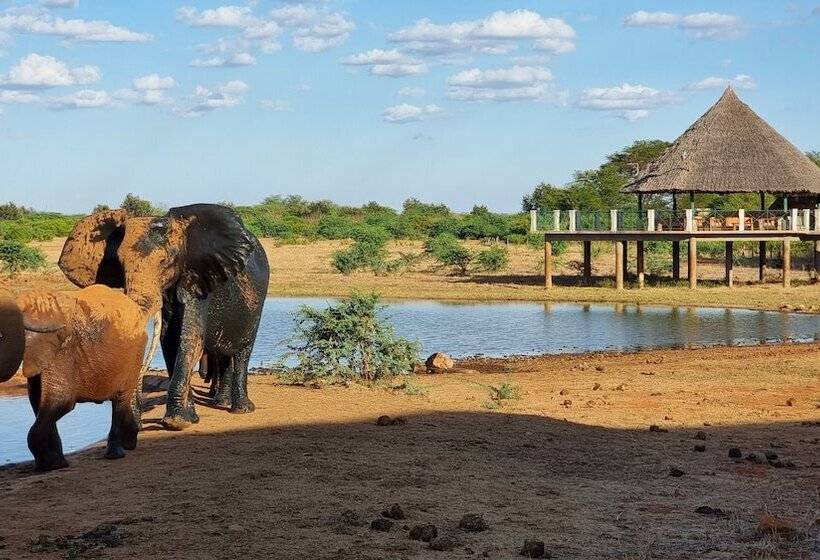 هتل Voi Wildlife Lodge