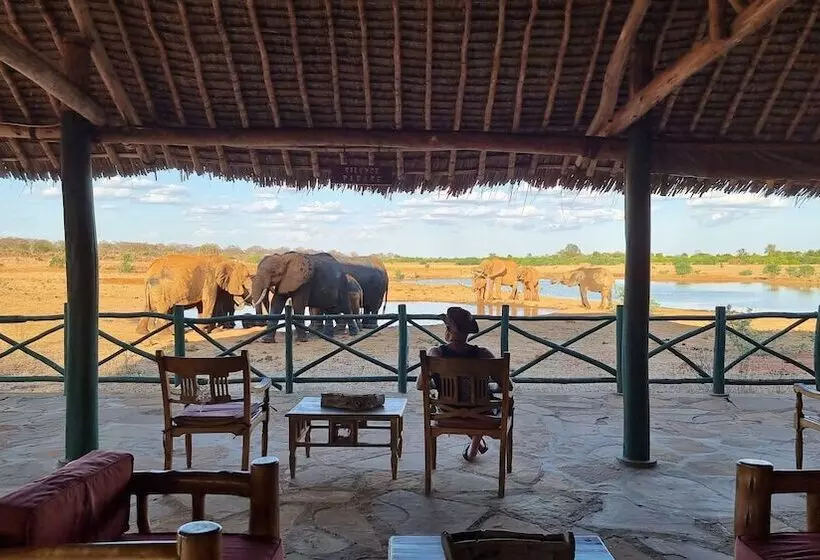 هتل Voi Wildlife Lodge