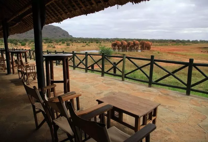هتل Voi Wildlife Lodge