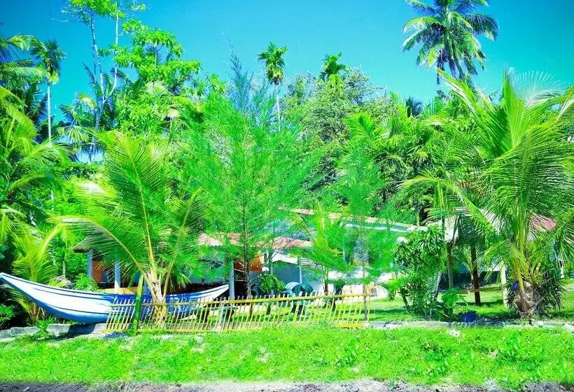 پانسیون Bluewhale Lagoon Resort