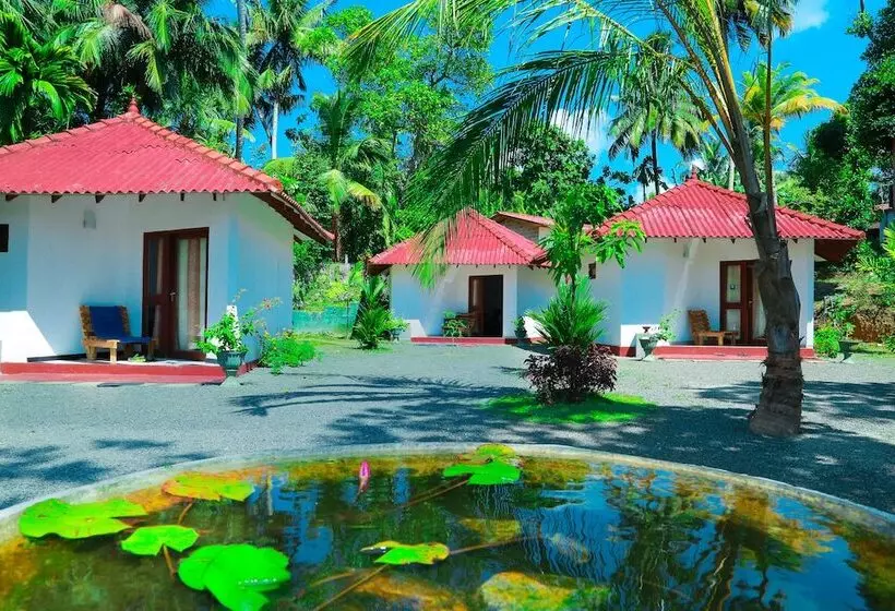 پانسیون Bluewhale Lagoon Resort