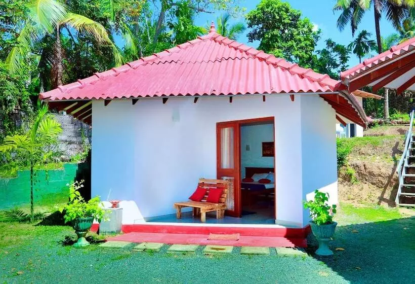 پانسیون Bluewhale Lagoon Resort