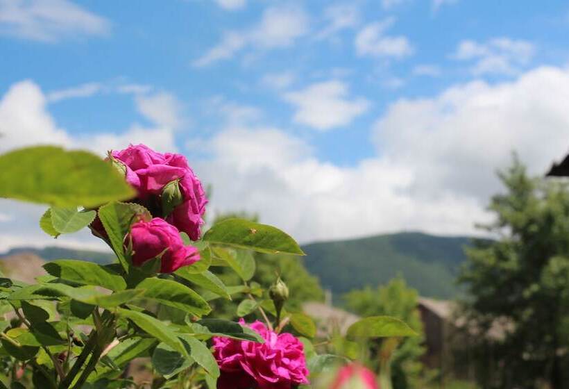 پانسیون Old Tatev